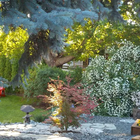 Dogwood Bed & Breakfast-3